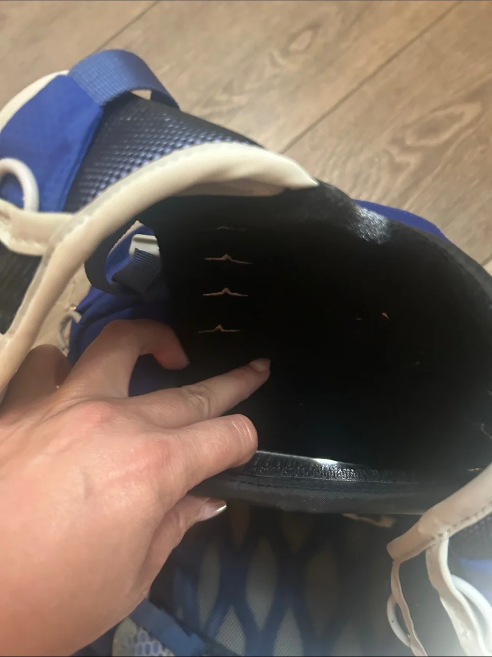 OSPREY Tempest 20 Backpack in Royal Blue and Light Blue